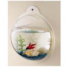 Fish Bubble - Wall Mounted Acrylic Fish Bowl